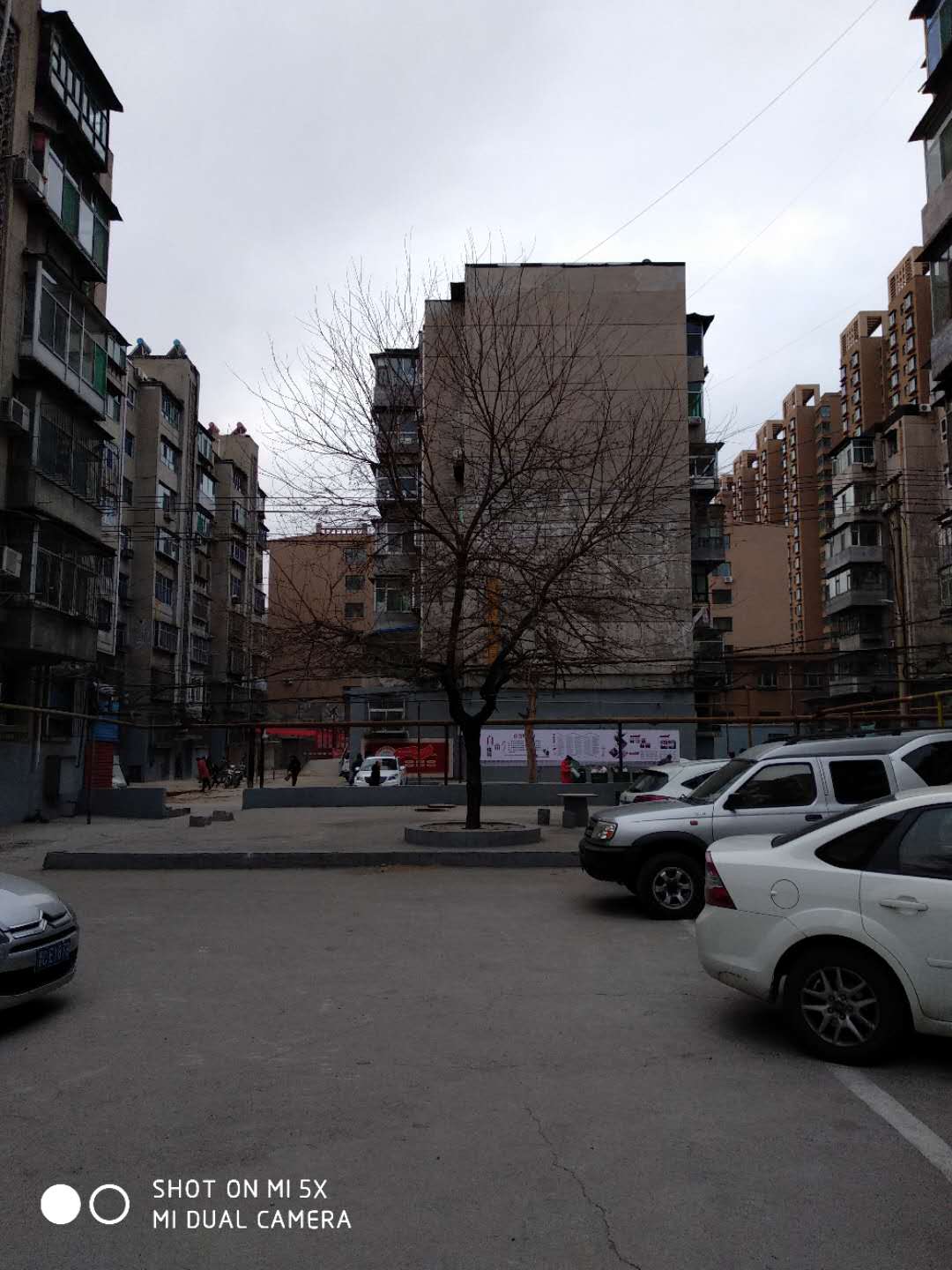 【随拍】191231