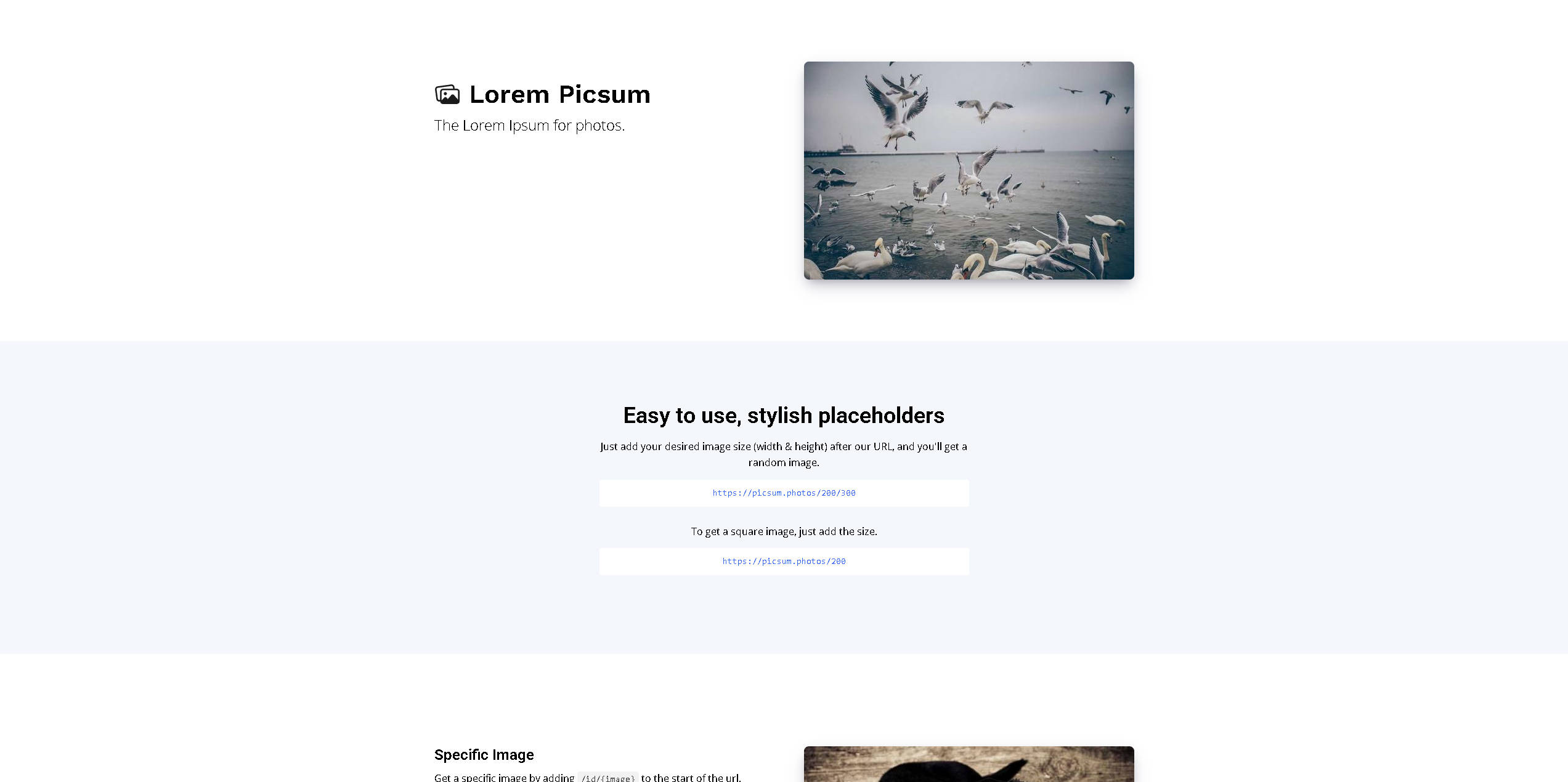 【网站】Lorem Picsum