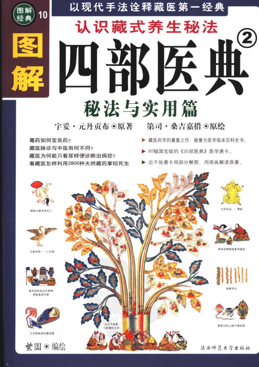 【书籍】图解经典-图解四部医典2 秘法与实用篇