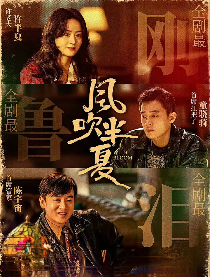 【影视】风吹半夏 全36集