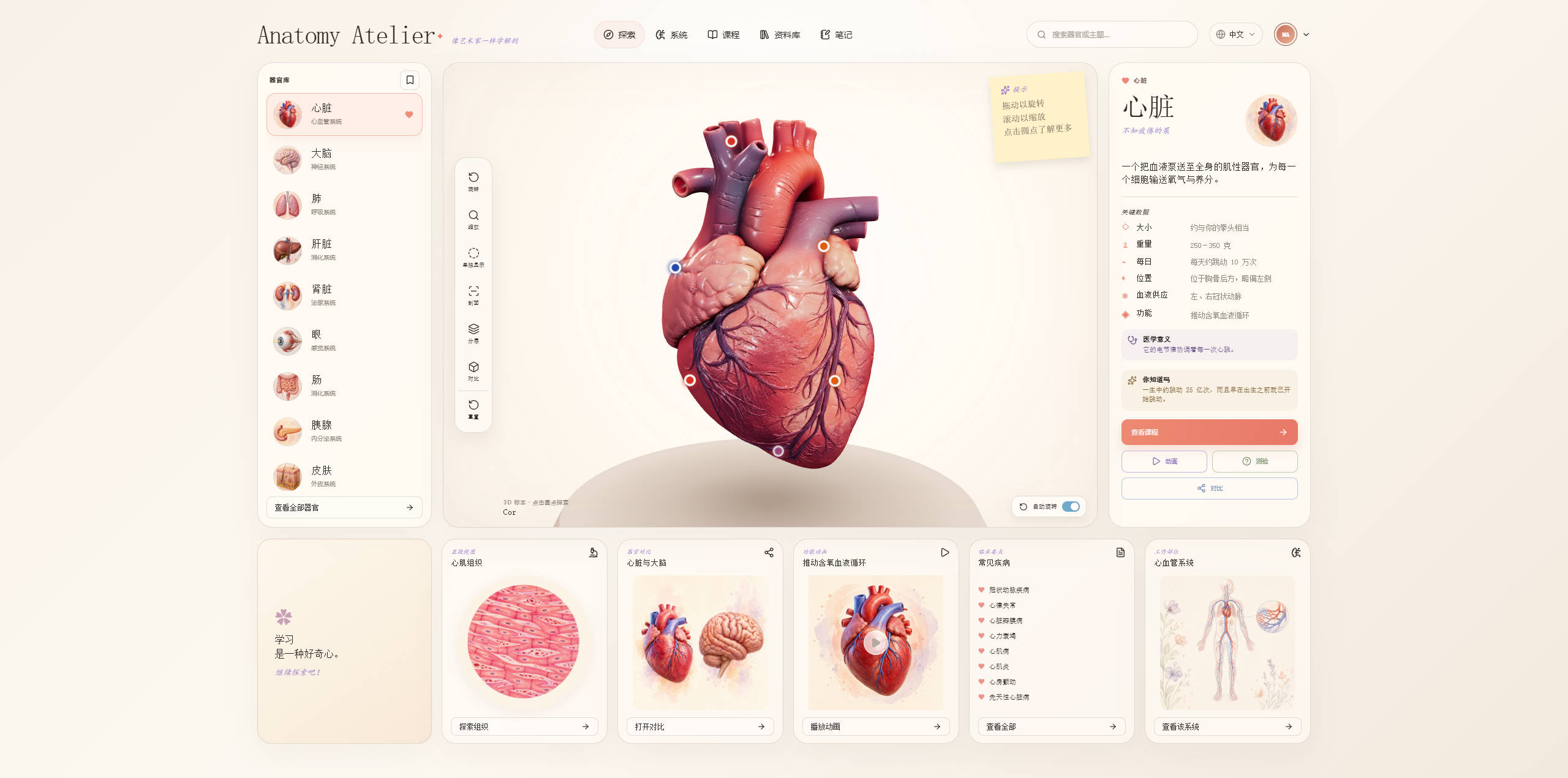 【网站】Anatomy Atelier — 像艺术家一样学解剖