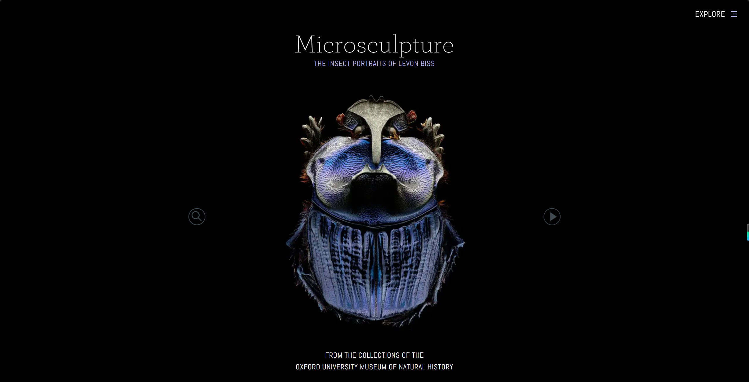 【网站】Microsculpture