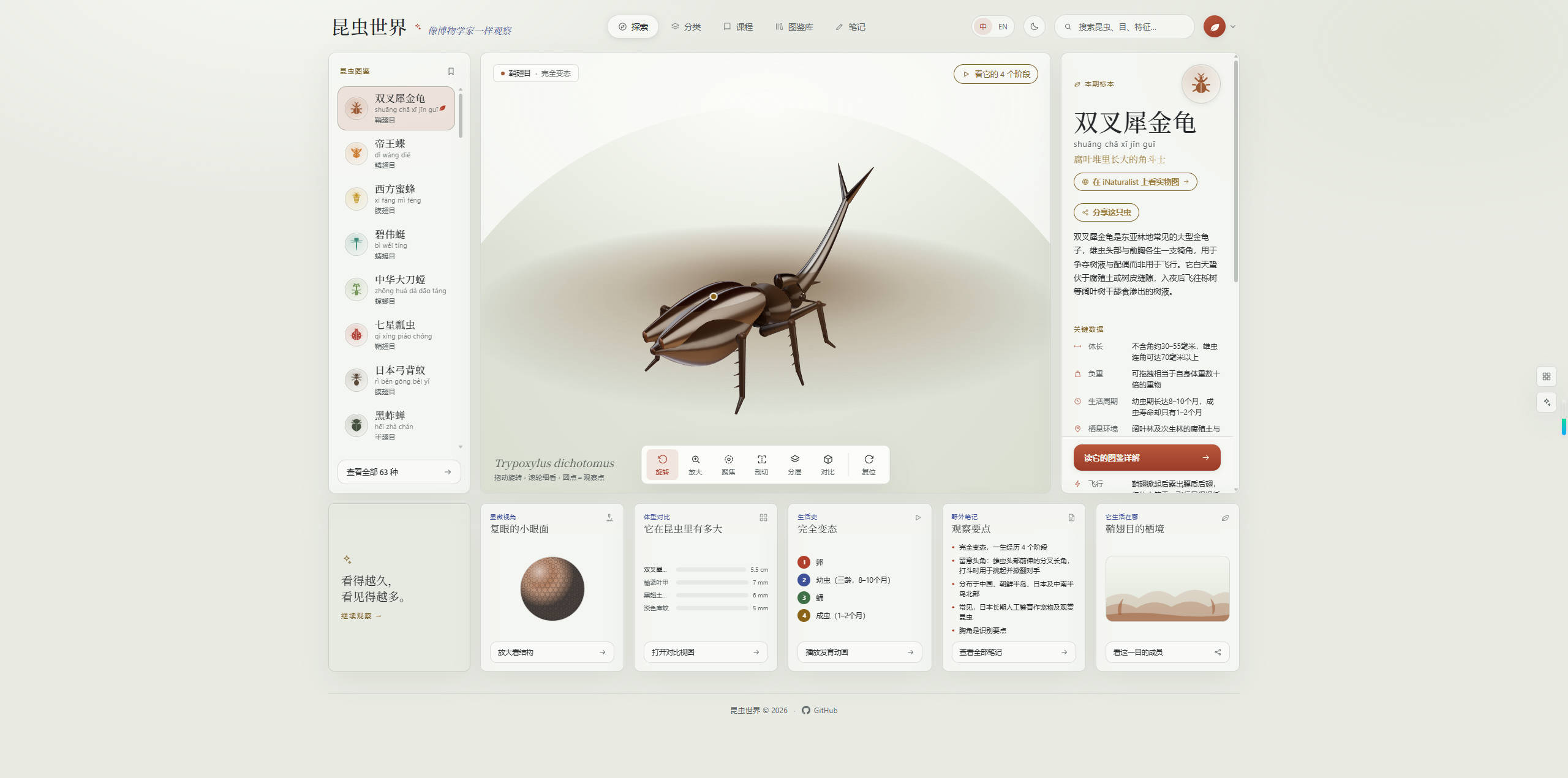 【网站】昆虫世界